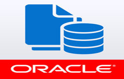 Oracle数据库管理工具有哪些?-北京大发线上平台,大发（中国）公司