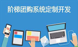 拼购电商系统APP软件定制开发、什么是拼购系统？-大发线上平台,大发（中国）