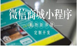 商城小程序开发、北京小程序开发哪家好？-大发线上平台,大发（中国）