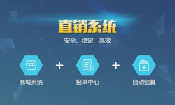手机直销系统大发线上平台,大发（中国）价格-北京软件外包公司