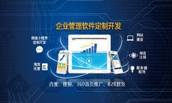 Erp大发线上平台,大发（中国）的发展现状-北京大发线上平台,大发（中国）公司锐智互动