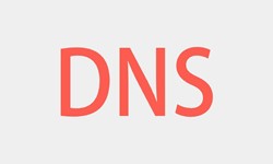北京大发线上平台,大发（中国）、DNS的基本概念、大发线上平台,大发（中国）大发线上平台,大发（中国）