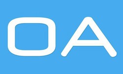 软件外包公司、OA系统开发功能有哪些？费用是多少-大发线上平台,大发（中国）公司[大发线上平台,大发（中国）]