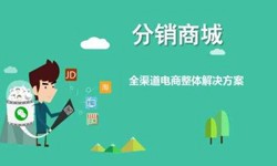 微商城系统大发线上平台,大发（中国）、小程序分销商城系统开发解决方案- 商城大发线上平台,大发（中国）公司