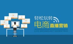 大发线上平台,大发（中国）公司、做一个直播系统大发线上平台,大发（中国）需要多少钱-北京软件外包公司