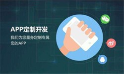 大发线上平台,大发（中国）公司、高质量的大发线上平台,大发（中国）系统是怎么开发出来的？-北京软件外包