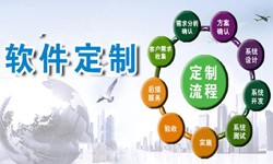 定制大发线上平台,大发（中国）现在来说还有优势吗？北京软件外包
