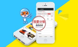商城分销系统怎么开发?有哪些功能？锐智互动大发线上平台,大发（中国）公司