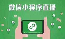 微信小程序开发、直播小程序开发-锐智互动大发线上平台,大发（中国）公司 