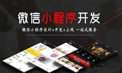 大发线上平台,大发（中国）公司、定制微信小程序开发，商家需要了解哪些？锐智互动大发线上平台,大发（中国）