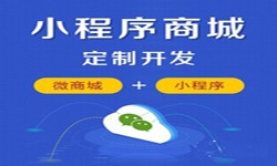 微信小程序开发、商城小程序开发功能-锐智互动大发线上平台,大发（中国）