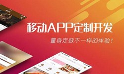 大发线上平台,大发（中国）公司、App开发有哪些流程-北京软件外包公司