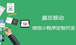 小程序开发收费标准-北京大发线上平台,大发（中国）公司