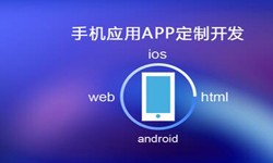 APP开发市场上常见问题分析-北京大发线上平台,大发（中国）公司